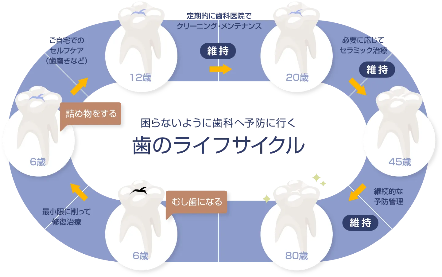 80歳までに20本残せる治療を目指す。