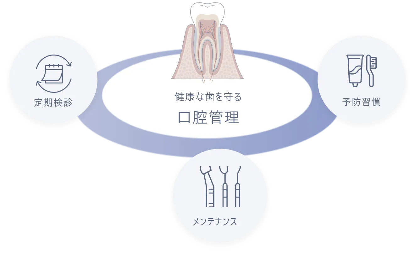 歯の寿命を伸ばす口腔管理